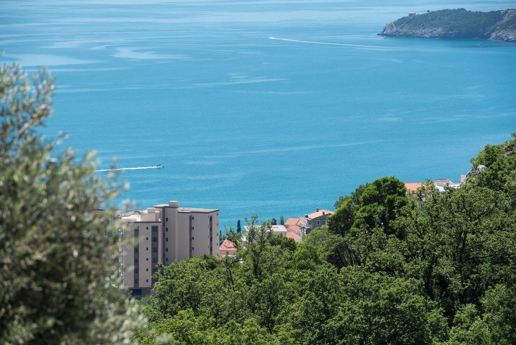 Villa Old Olive 2 Будва Екстер'єр фото